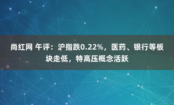尚红网 午评：沪指跌0.22%，医药、银行等板块走低，特高压概念活跃