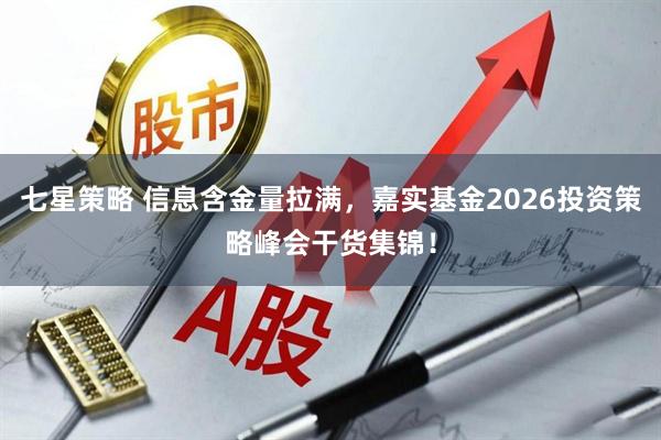 七星策略 信息含金量拉满，嘉实基金2026投资策略峰会干货集锦！