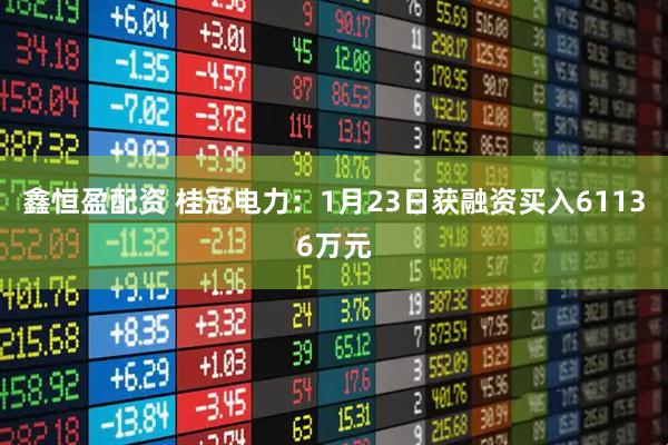 鑫恒盈配资 桂冠电力：1月23日获融资买入61136万元