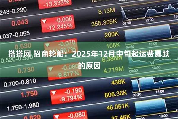 搭搭网 招商轮船：2025年12月中旬起运费暴跌的原因